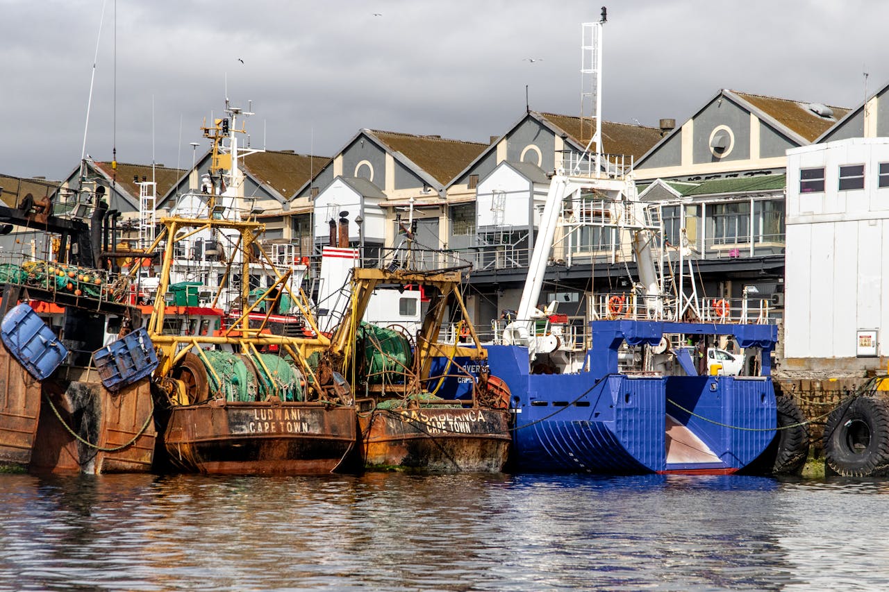 services-02 Vibrant fishing boats docked at a bustling harbor in Cape Town, South Africa.